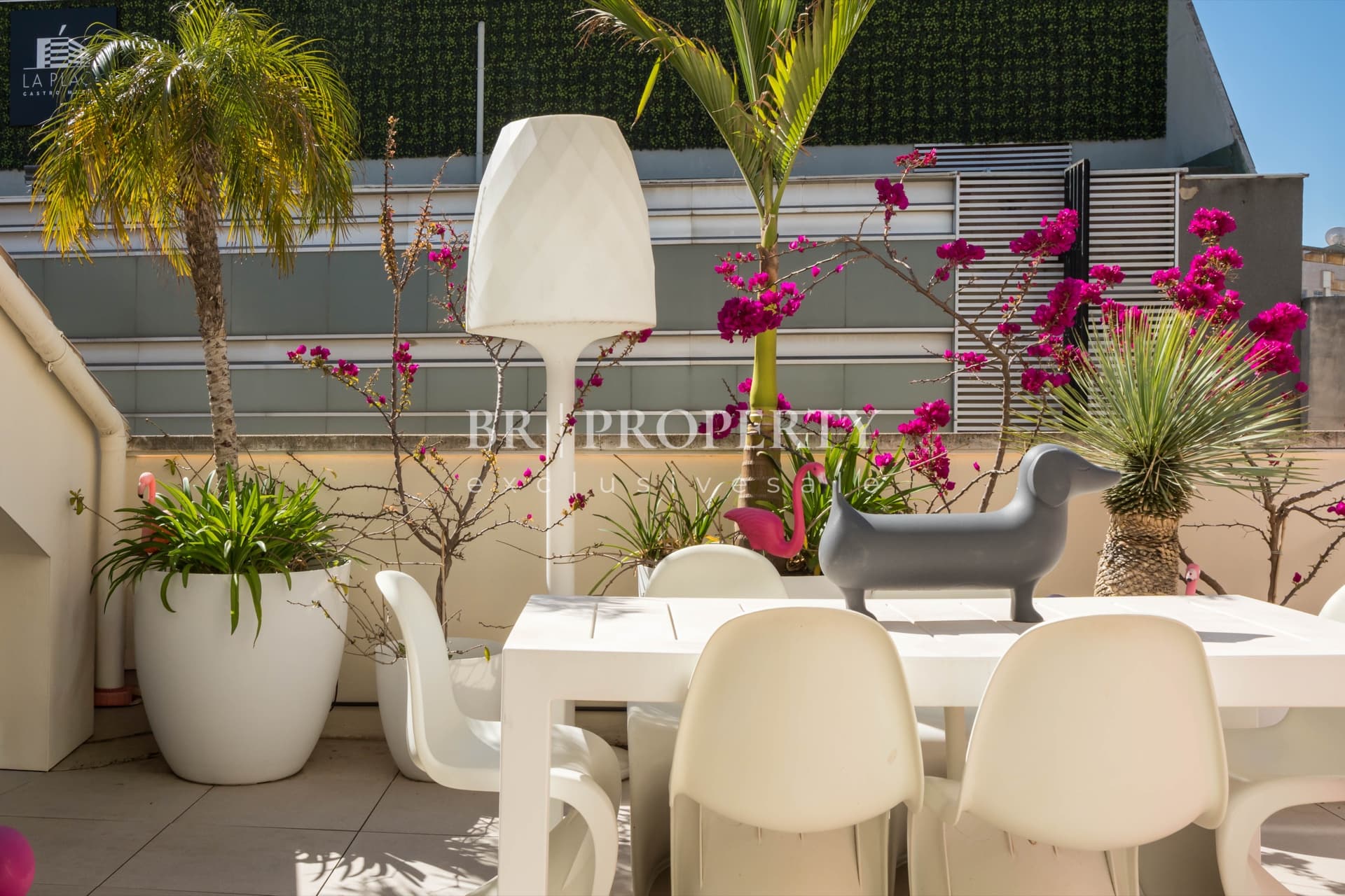 Terraza